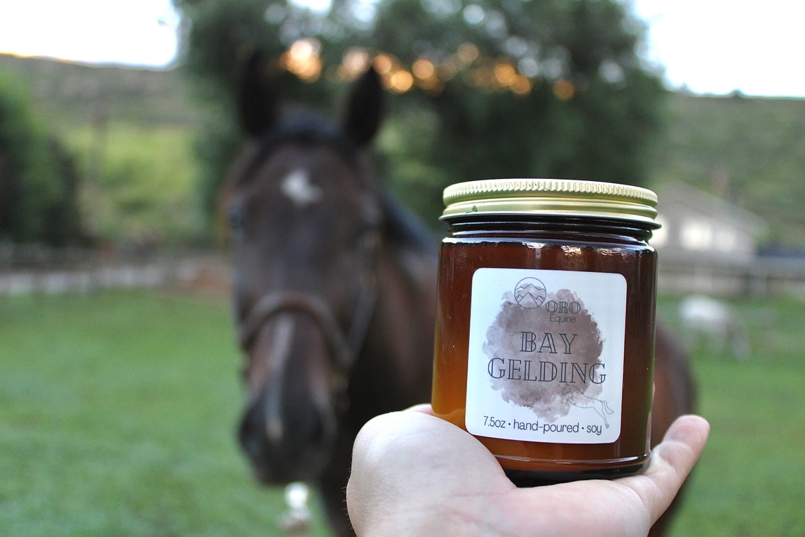 Bay Gelding soy candle