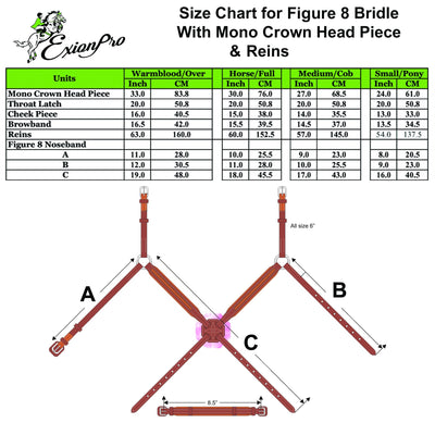 ExionPro Padded Ear Free Monocrown Crown Piece Figure 8 Bridle & Reins
