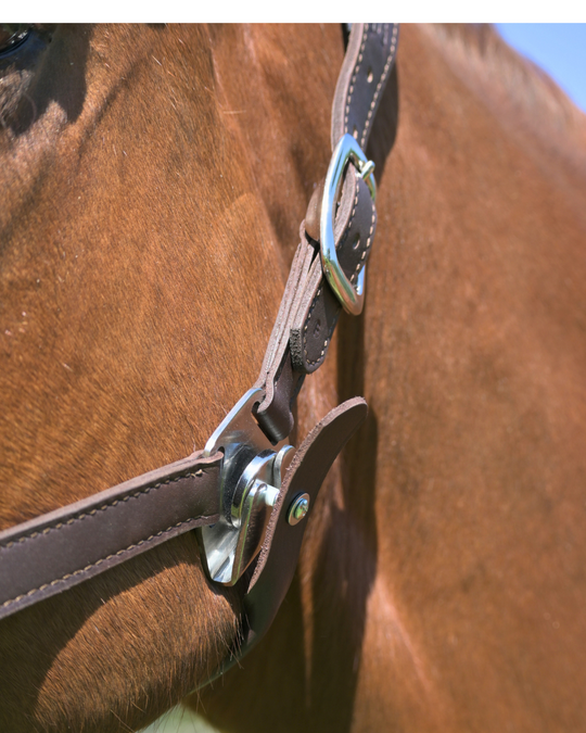 Magna Halter ™ in Black with Fleece Noseband and Leather Breakaway