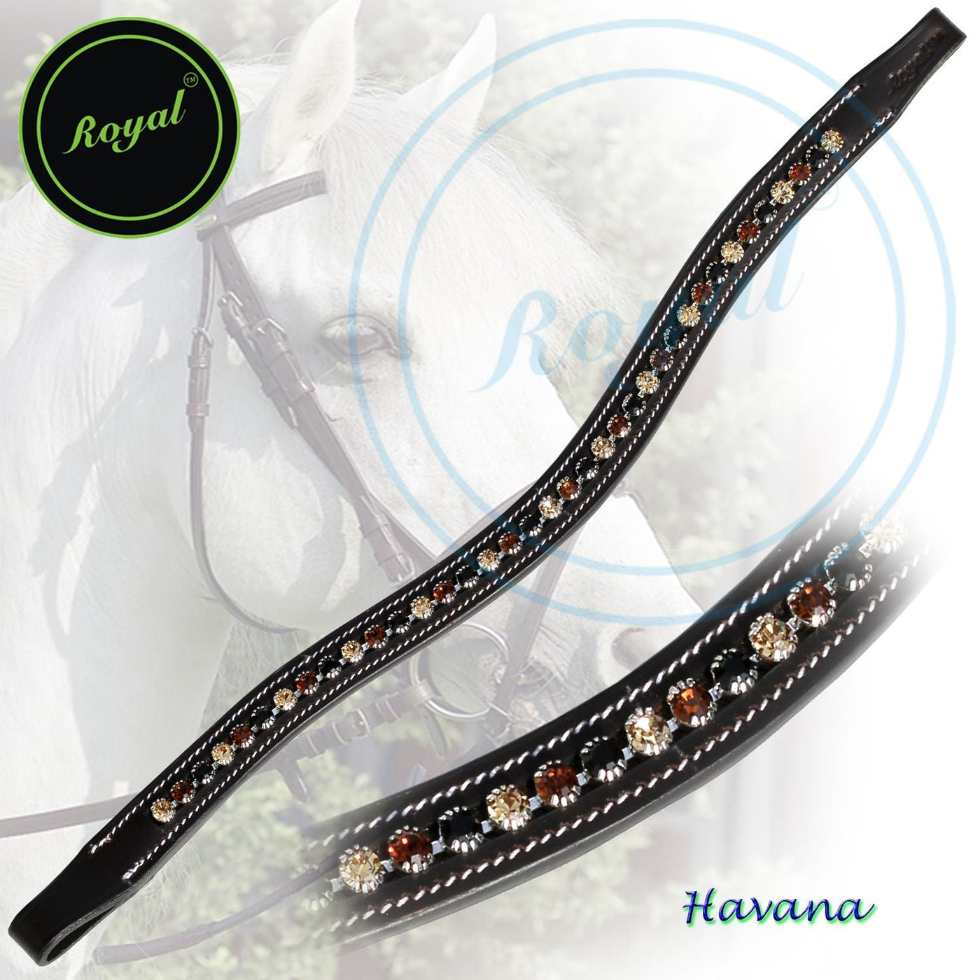 ExionPro Dual Colored Glittering Brown, Black and Golden Crystal Browband