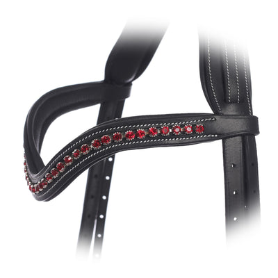 ExionPro Elegant Deep Curved Soft Padded Siam Crystal Decorated Browband