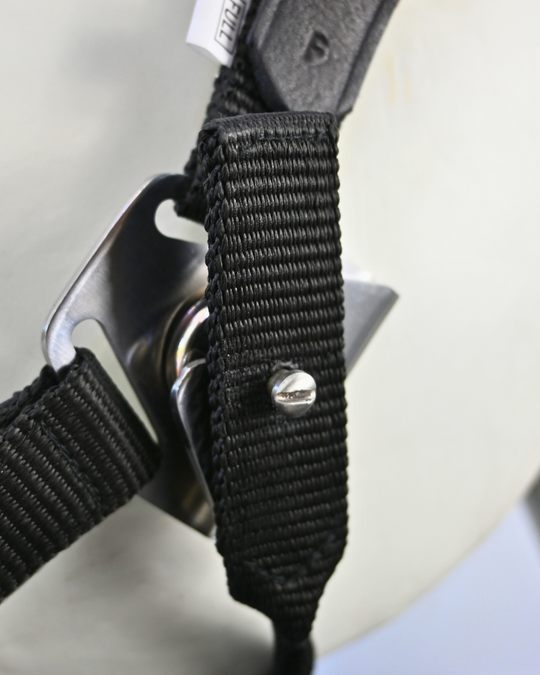 Magna Halter ™ in Black With Leather Breakaway