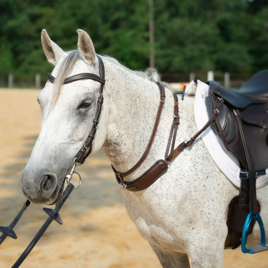 3-in-1 Training Breastplate
