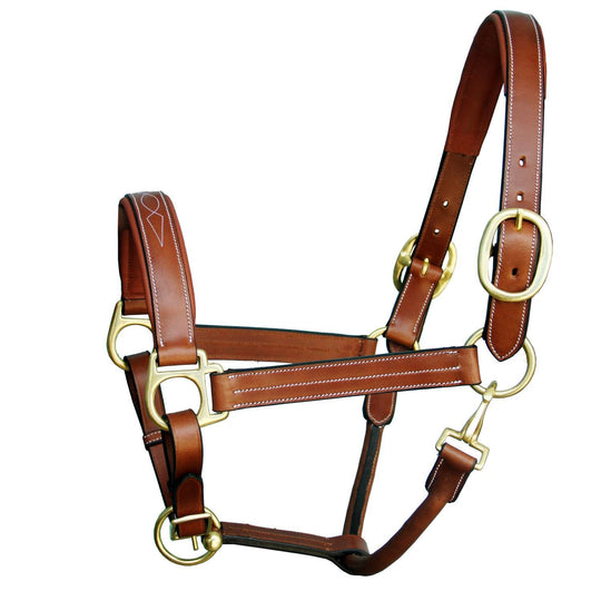 ExionPro Triple Stitched Cheek &amp; Designer Fancy Padded Leather Halter-Brass Buckles