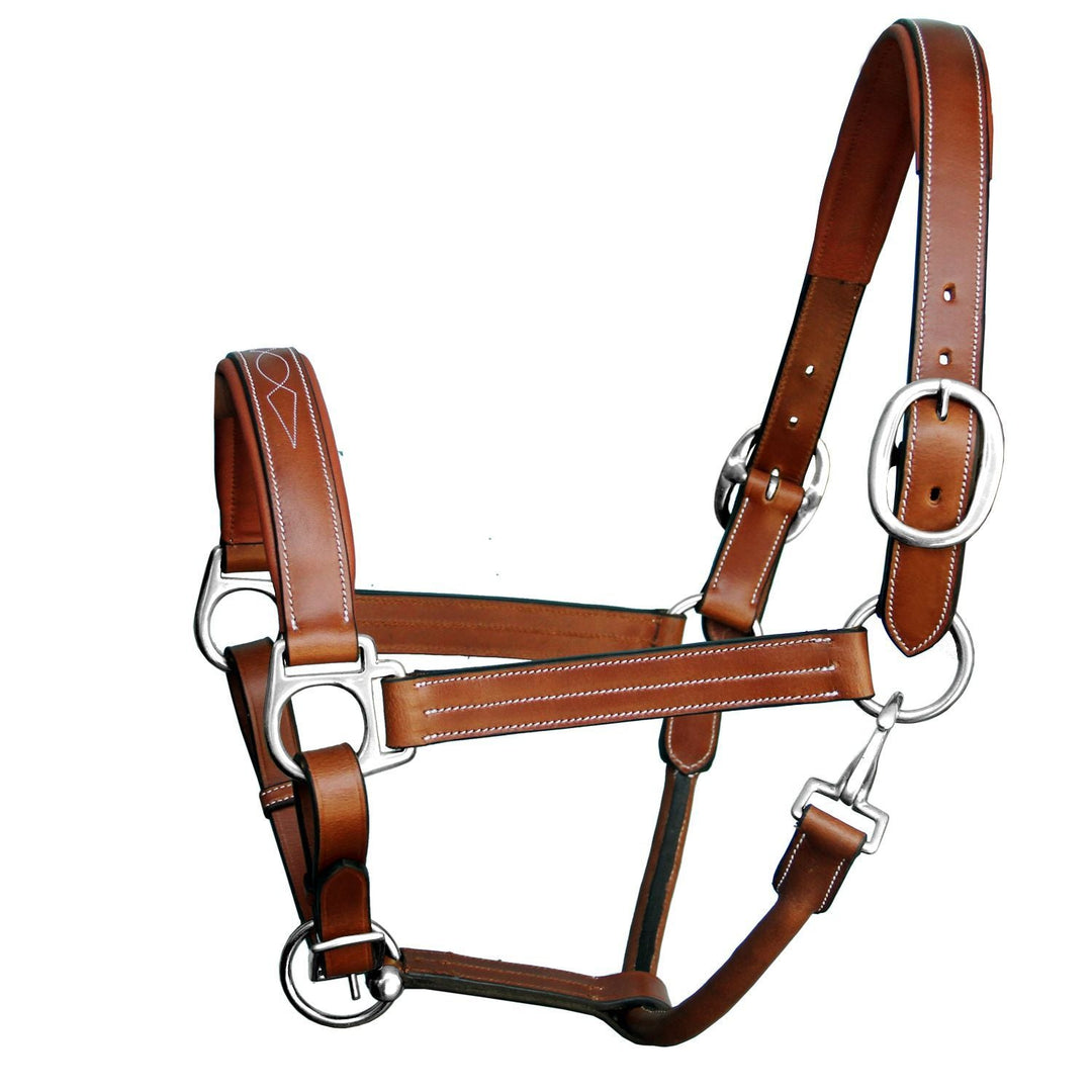 ExionPro Triple Stitched Cheek &amp; Designer Fancy Padded Leather Halter - Brass Nickel Buckles