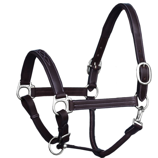 ExionPro Triple Stitched Cheek &amp; Designer Fancy Padded Leather Halter - Brass Nickel Buckles