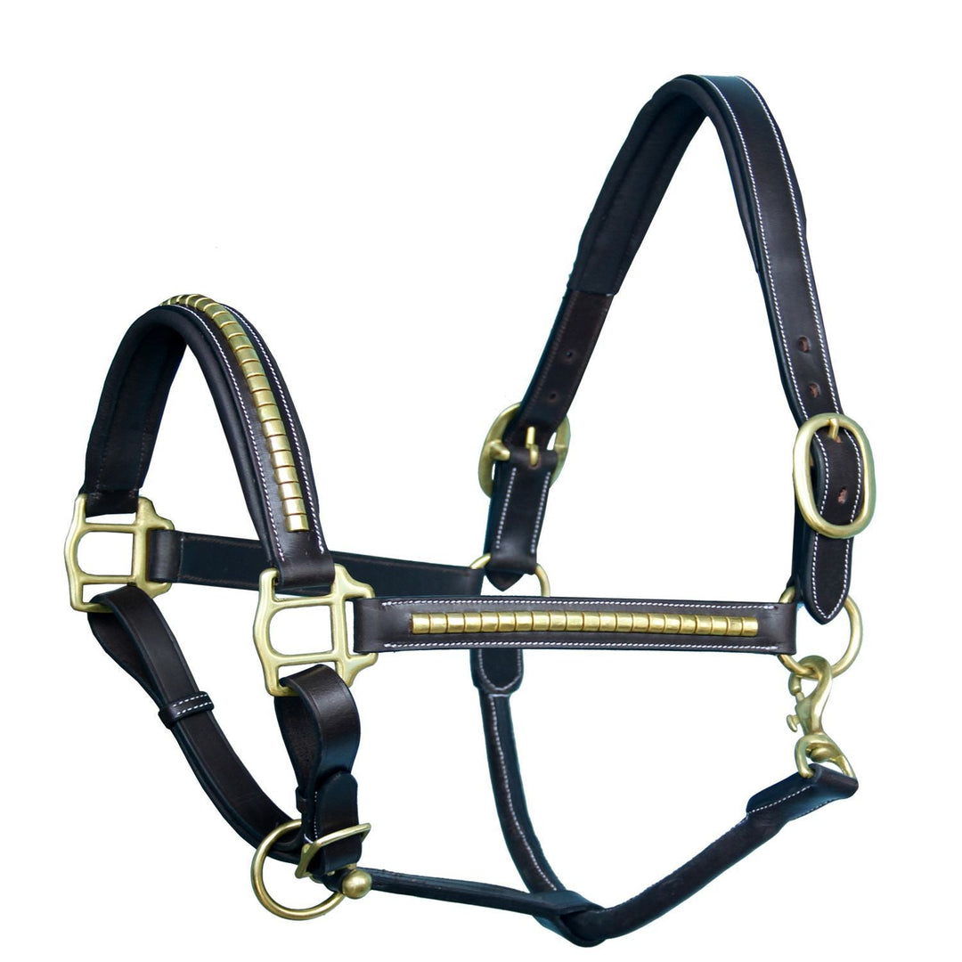 ExionPro Gold Brass Clincher Studded Horse Halter