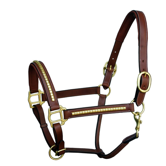 ExionPro Gold Brass Clincher Studded Horse Halter