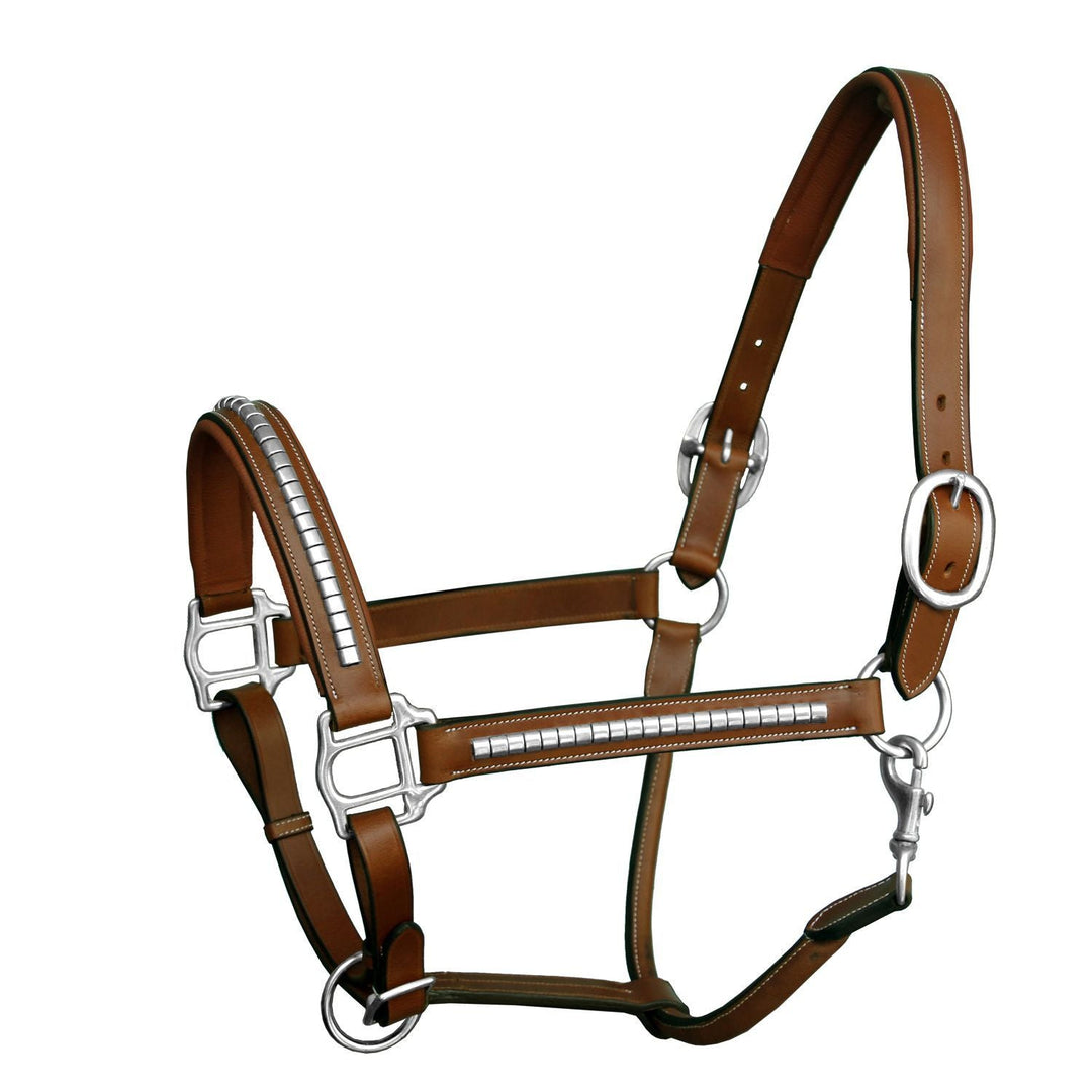 ExionPro Silver Brass Clincher Studded Horse Halter