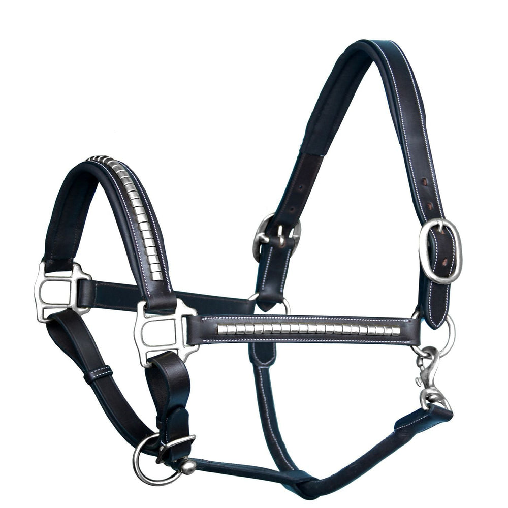 ExionPro Silver Brass Clincher Studded Horse Halter