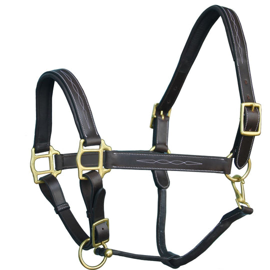 ExionPro Six Fancy Padded Halter-Brass Hardware