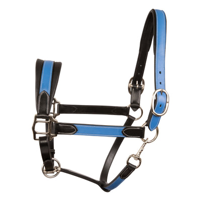 ExionPro Leather Soft Padded Blue Halter and Leather Lead with Chain Combo