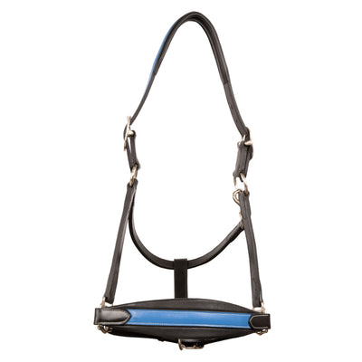 ExionPro Leather Soft Padded Blue Halter and Leather Lead with Chain Combo