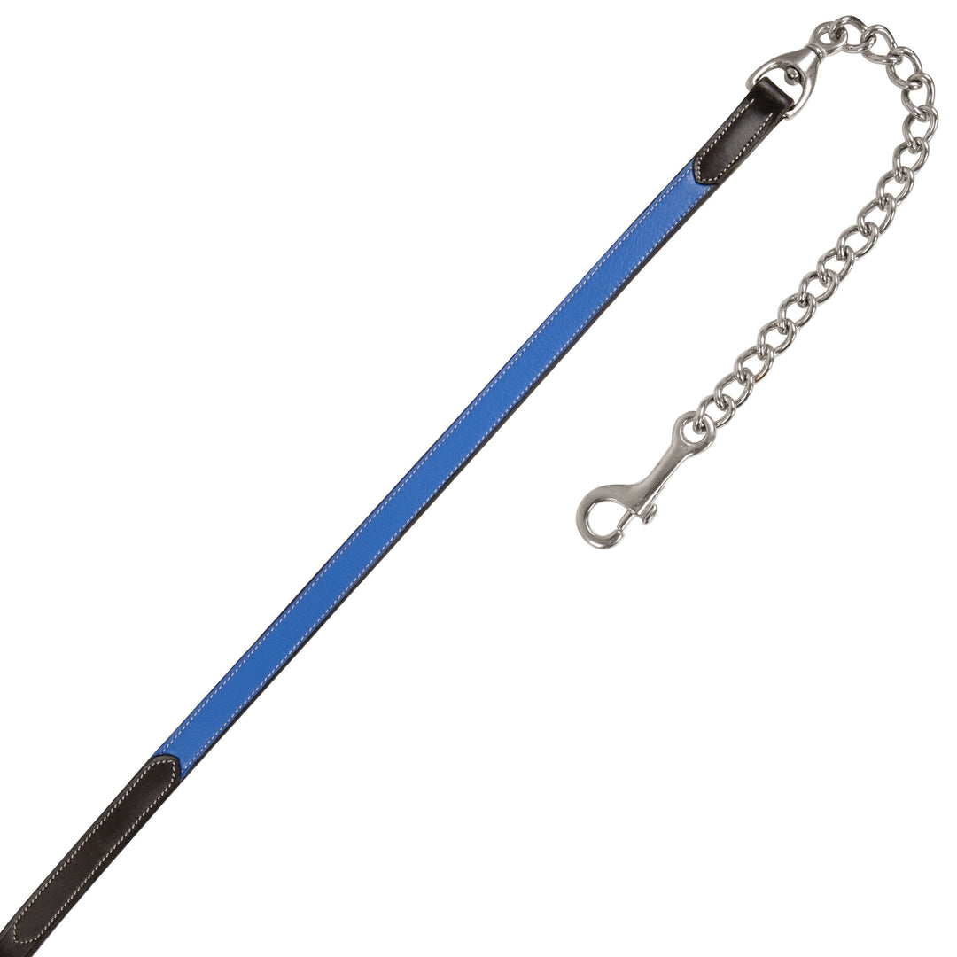 ExionPro Leather Soft Padded Blue Halter and Leather Lead with Chain Combo