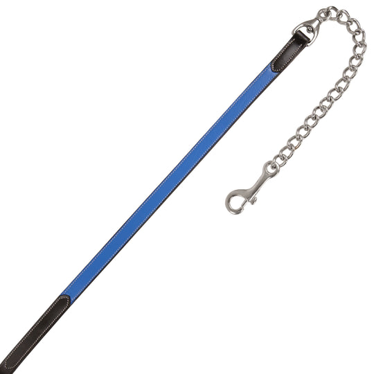 ExionPro Leather Soft Padded Blue Halter and Leather Lead with Chain Combo