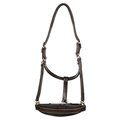 ExionPro Leather Soft Padded Havana Halter and Leather Lead with Chain Combo