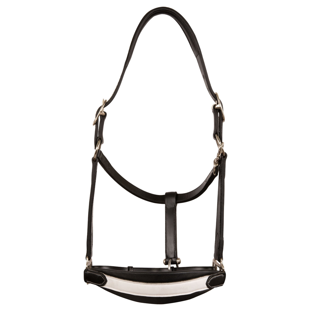 ExionPro Leather Soft Padded White Halter and Leather Lead with Chain Combo