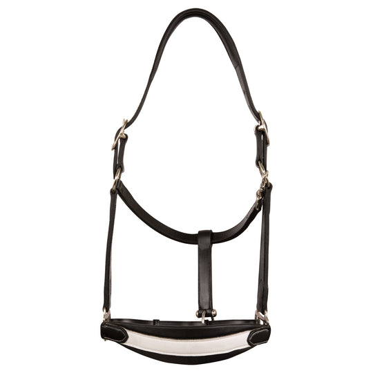 ExionPro Leather Soft Padded White Halter and Leather Lead with Chain Combo