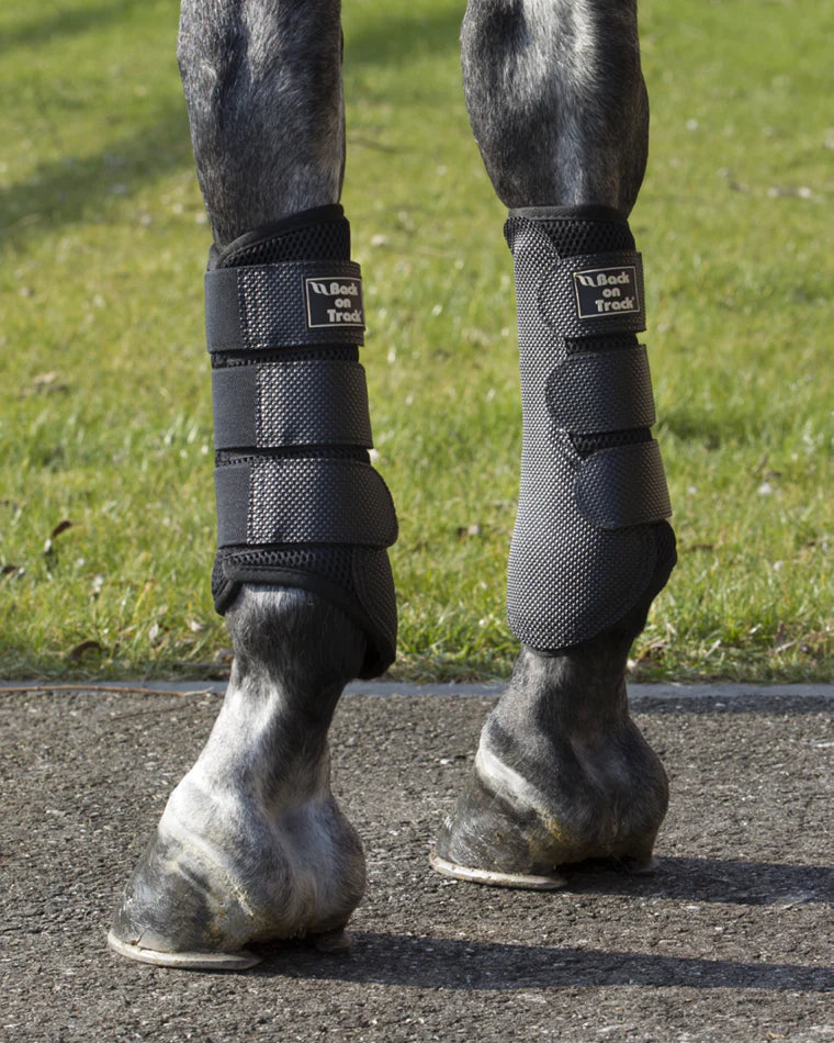 3D Mesh Therapeutic Splint Boots from Back on Track