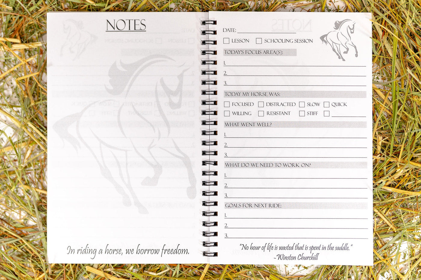 Equestrian Training and Lesson Journal
