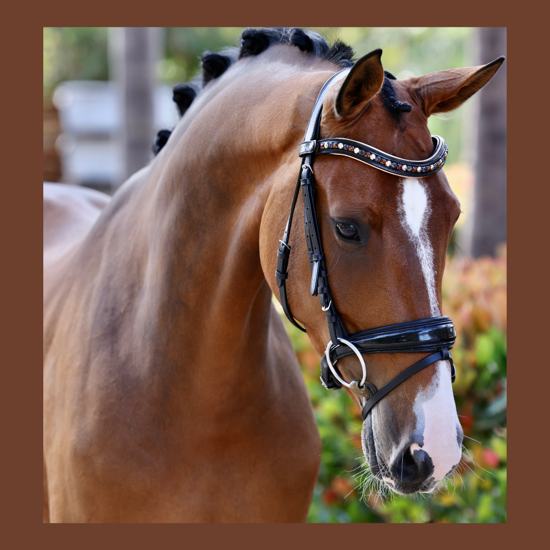 Lyamora Limited Edition Browband