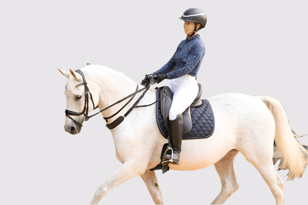 3-in-1 Training Breastplate
