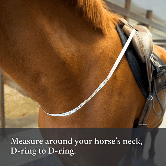 3-in-1 Training Breastplate
