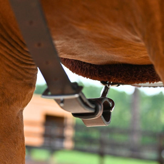 3-Point Breastplate with Double Neck Strap