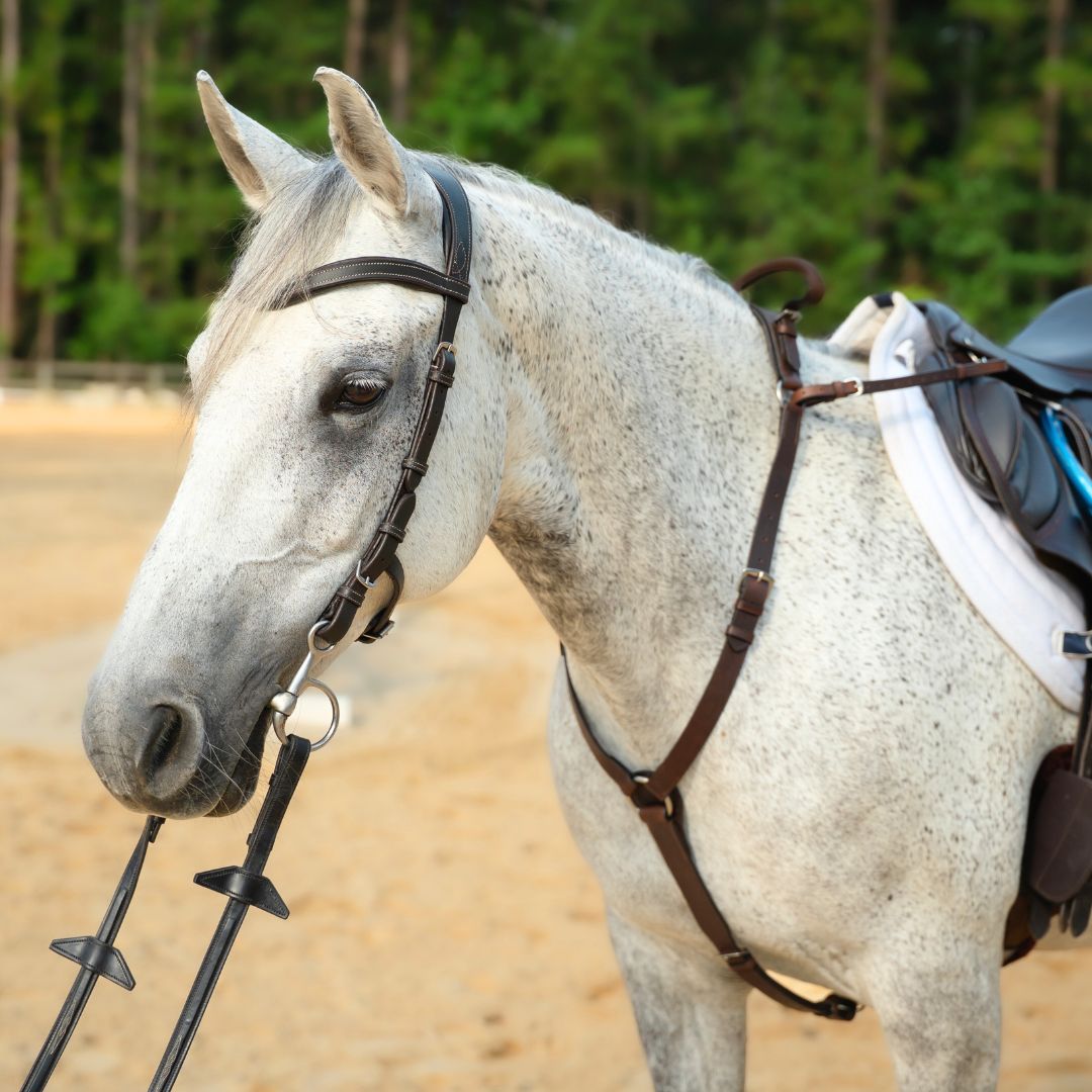 3-Point Breastplate with Double Neck Strap