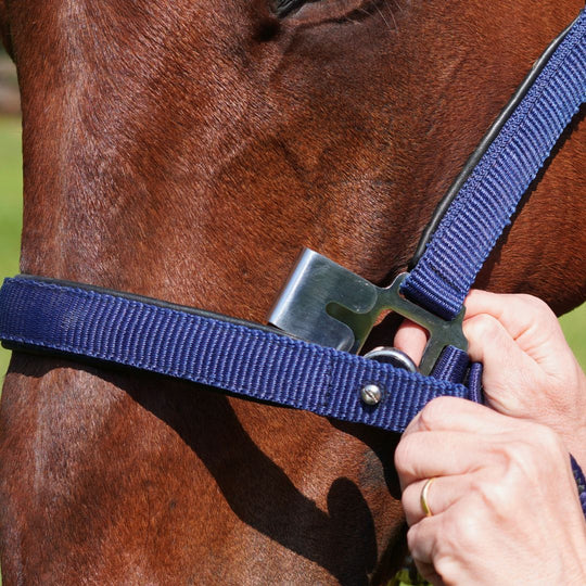 Magna Halter ™ in Blue with Leather Breakaway