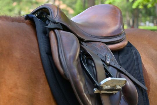 XC Mesh Saddle Pad with Quick Dry Cotton Lining in Navy, White or Black