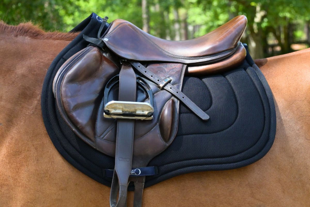 Jump Mesh Saddle Pad with Quick Dry Cotton Lining in Navy, White, or Black
