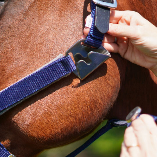 Magna Halter ™ in Blue with Fleece Noseband and Leather Breakaway