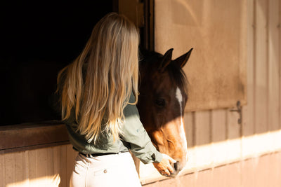 The Trinity | Classic Button-Down, Olive