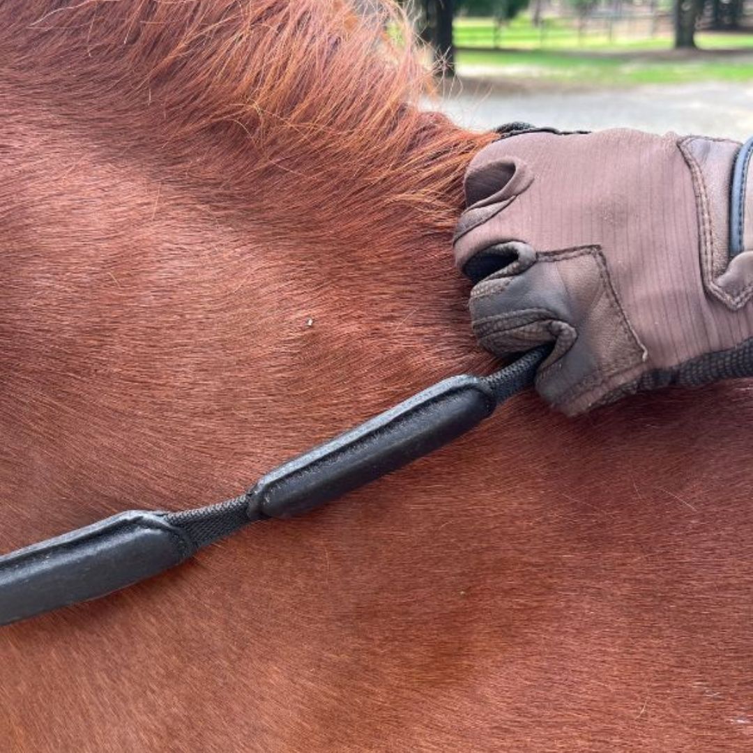 Comfort Connect Rein - Intermittent Padding for Equal Rein Length and Hand Support