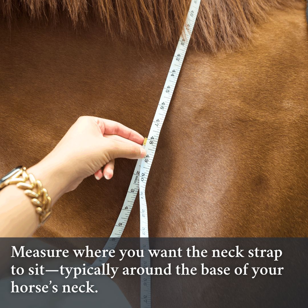Double Neck Strap