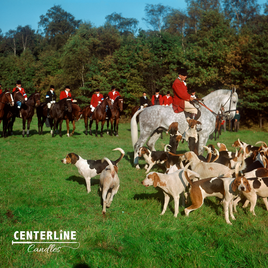 Fox Hunt