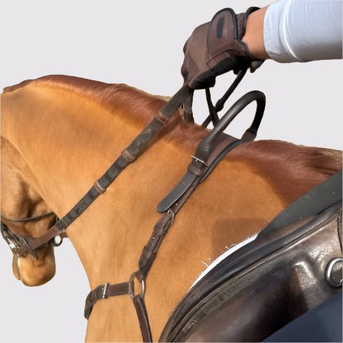 Free Motion Breastplate with Double Neck Strap