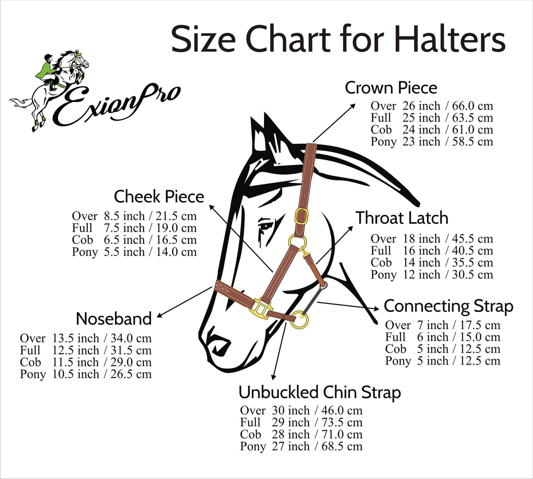 ExionPro Leather Soft Padded White Halter and Leather Lead with Chain Combo