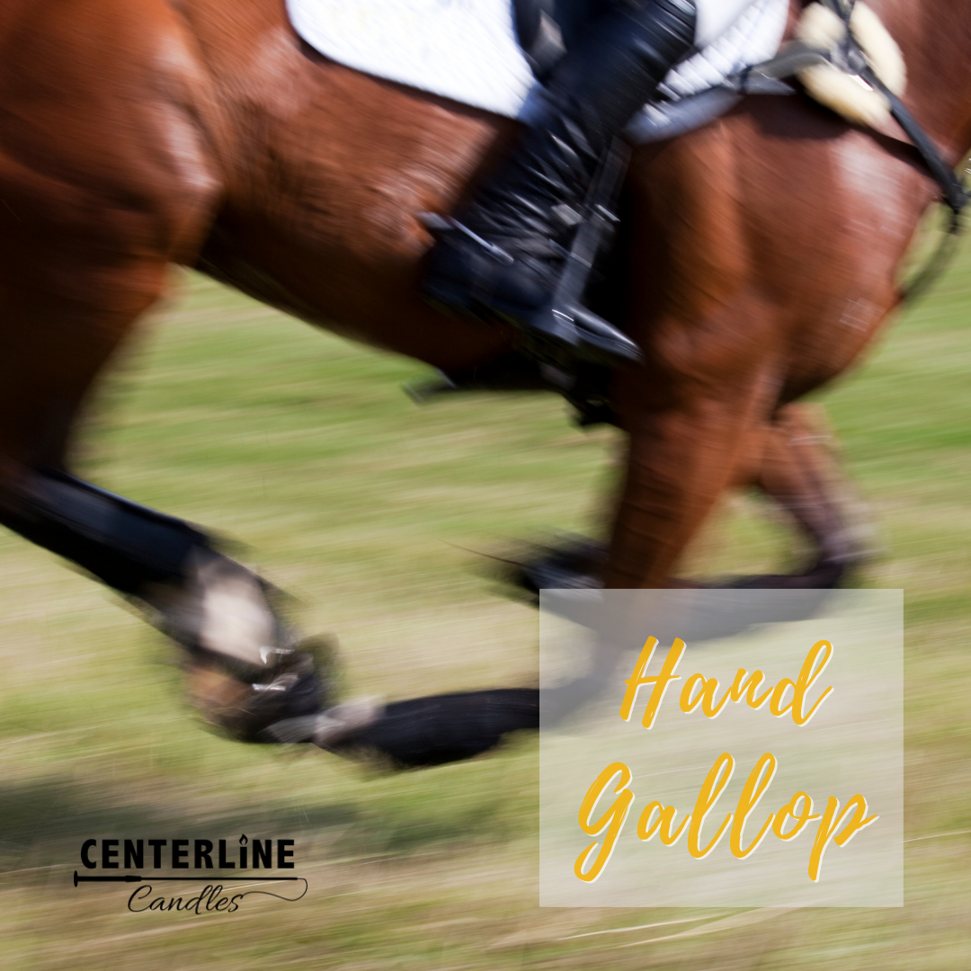 Hand Gallop – Marengo Equestrian