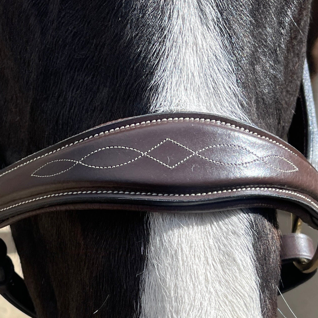 The Hamburg Brown Leather Halter with Fancy Stitching