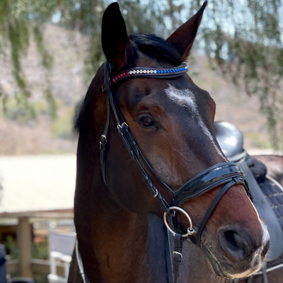 Crystal Browband - Americana 2