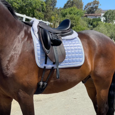 Satin Classic Dressage Saddle Pad - Lavender Mist