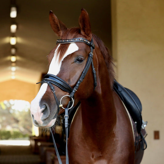 Lyamora Limited Edition Browband