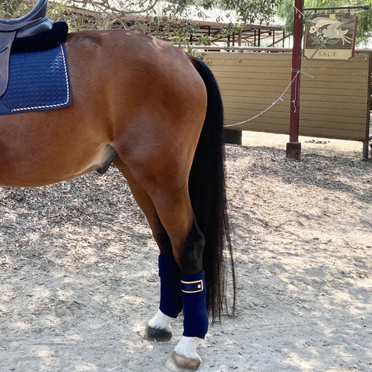 Halter Ego Navy &amp; Gold Fleece Bandages