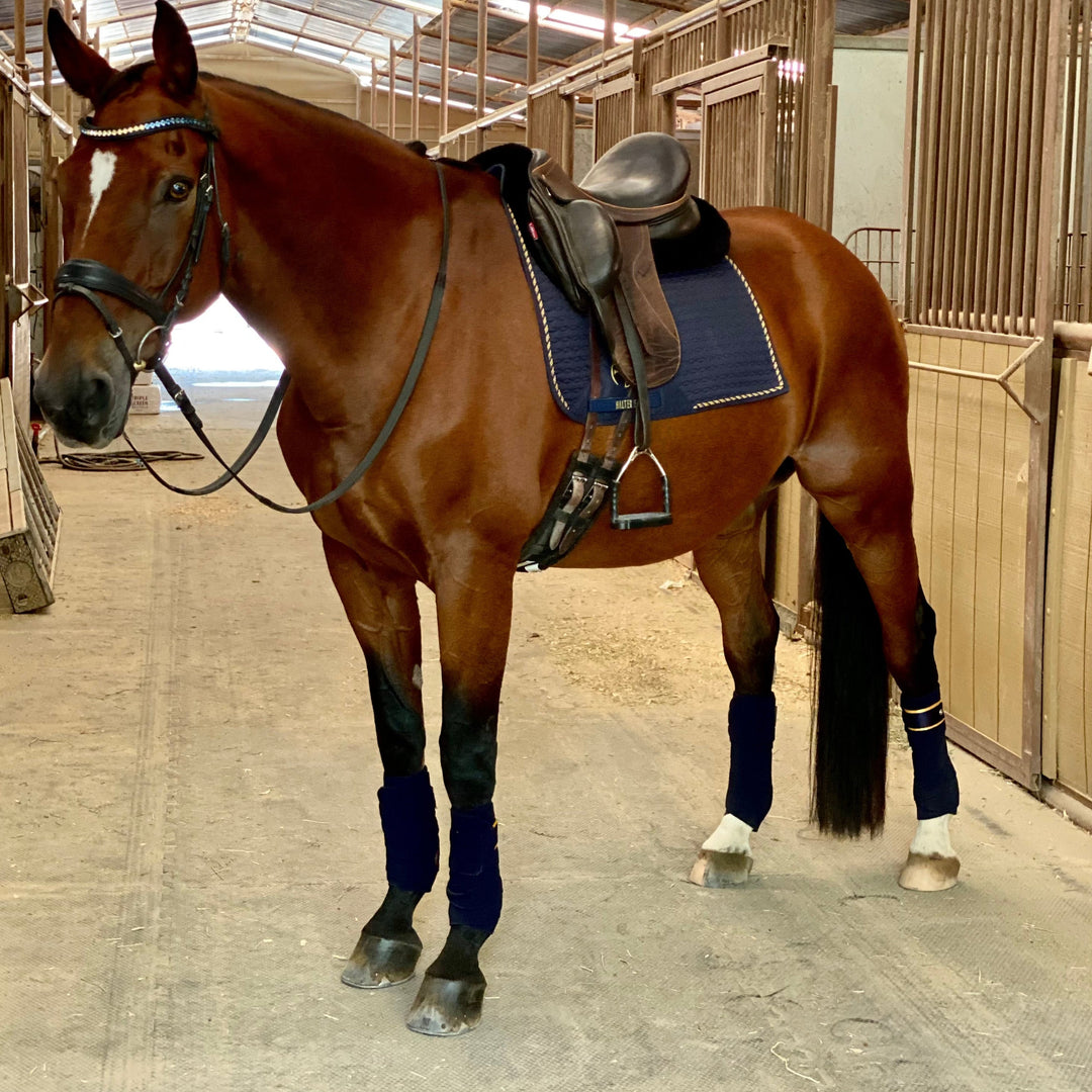 Halter Ego Navy &amp; Gold Fleece Bandages