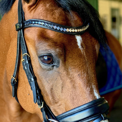 Halter Ego® Crystal Patent Browband - Dusk To Dawn