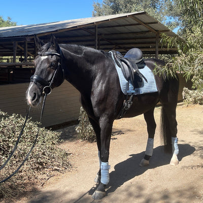 European Cotton Dressage Saddle Pad - Light Blue with Crystals & Light Blue/Silver Twisted Rope Trim