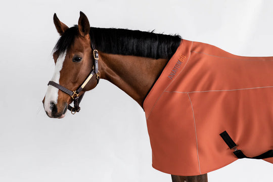 Fit Blanket 2.0