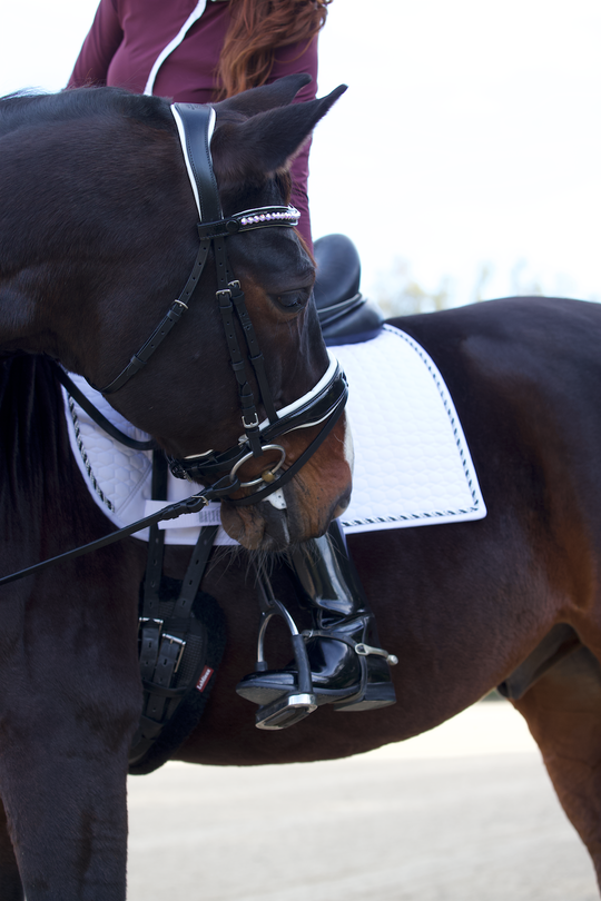 European Cotton Dressage Saddle Pad - White &amp; Black Twist Trim